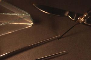 歯の健康と美しさを守る！予防歯科の最新トレンドを大和田池田歯科で見つけよう！