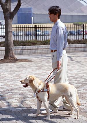 お悩みの方はインプラント大阪に相談を