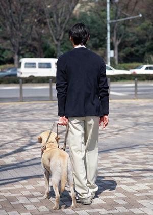 荻窪の眼科選びを徹底ガイド|2026年最新版の信頼できる眼科情報