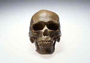 魅力あるレセプトコンピュータなら