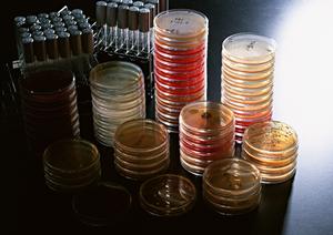 港北区の皮膚科で解決！信頼性と効果を兼ね備えた専門治療をご紹介